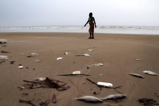 Eine Person steht an einem Strand voller toter Fische und Müll.