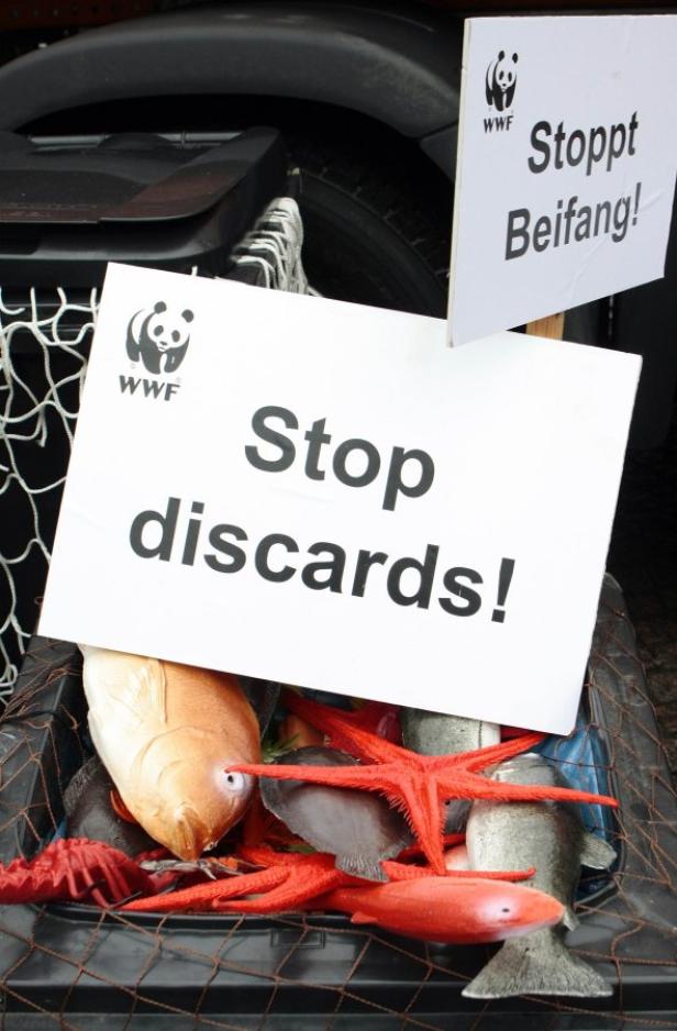 Ein Korb mit Fischattrappen und Schildern von WWF gegen Beifang und Rückwürfe.