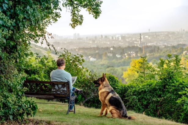 Ein Mann sitzt mit einer Zeitung auf einer Bank im Grünen, neben ihm ein Schäferhund, im Hintergrund eine Stadtansicht.