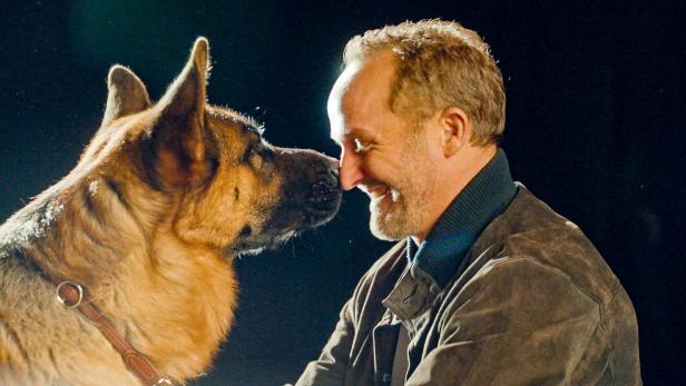 Ein Mann und ein Schäferhund berühren sich liebevoll mit den Nasen und lächeln einander an.