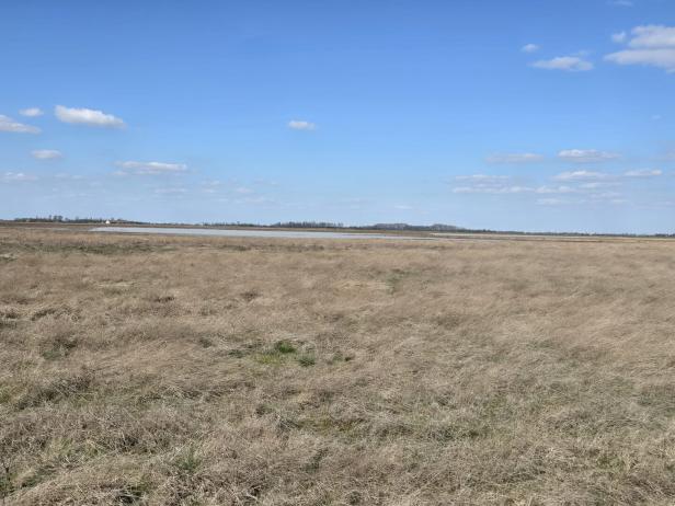 Lange Lacke im Hintergrund.