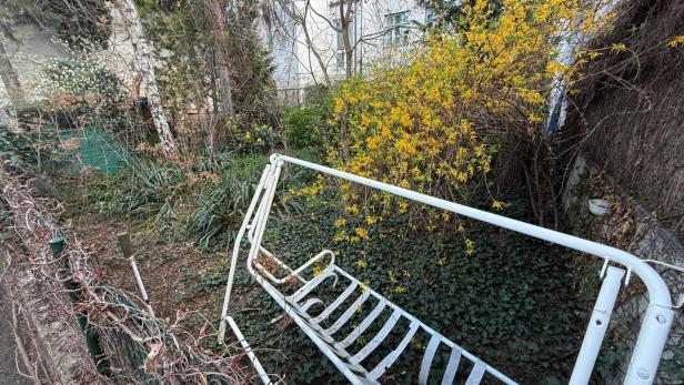 Ein verwilderter Innenhof mit einer alten Gartenliege. 
