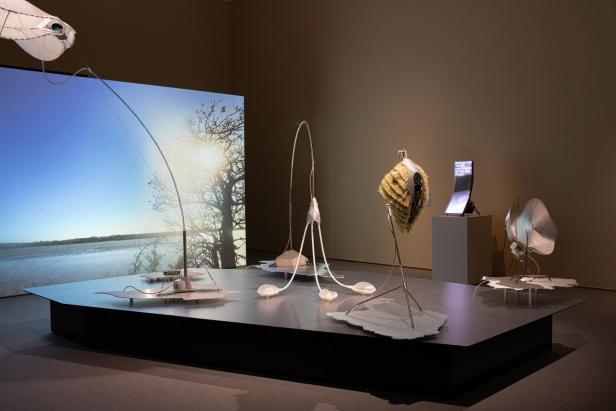 Ausstellungsansicht von „The Craftocene“ 