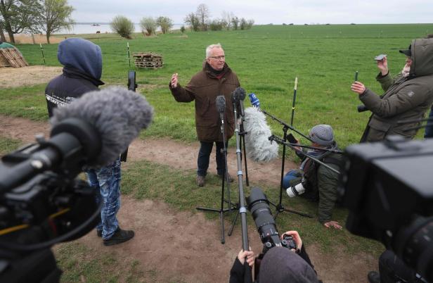 GERMANY-ANIMAL-WHALE-RESCUE