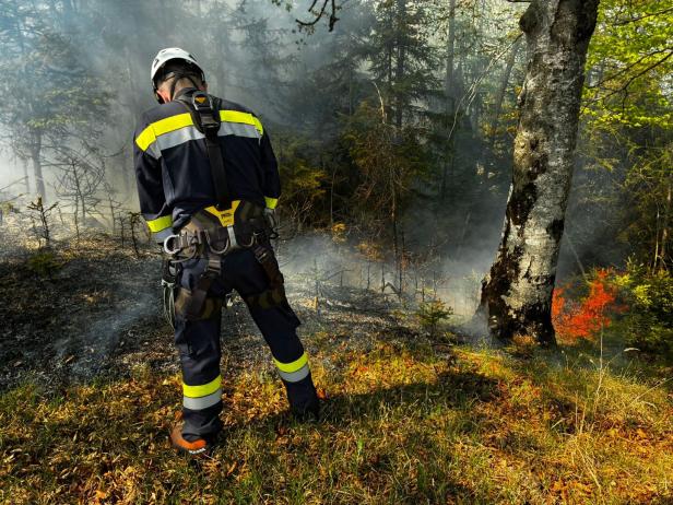 350 Feuerwehrleute im Einsatz 