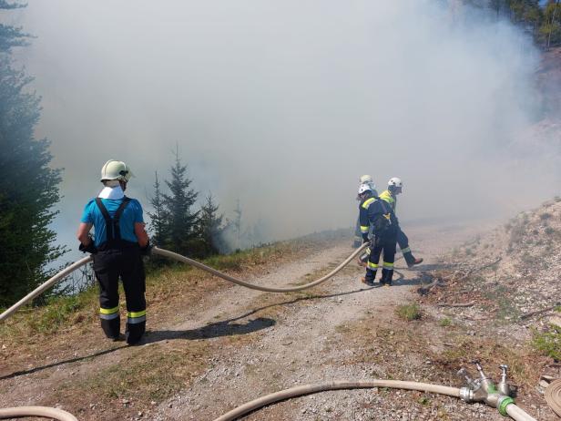 Löscharbeiten bei Waldbrand 