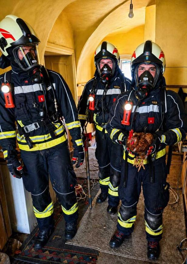 Feuerwehrmänner als Tierretter