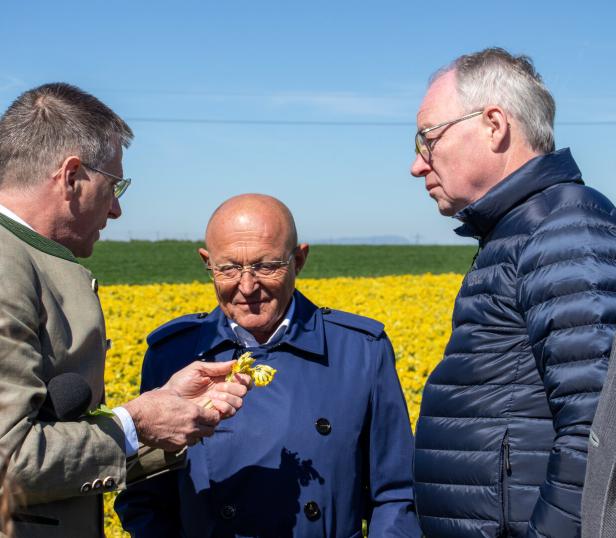 Drei Männer stehen auf einem Feld mit gelben Blumen und betrachten gemeinsam eine Blüte.