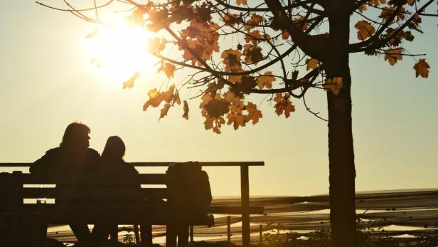 Zwei Personen sitzen auf einer Bank unter einem Baum und schauen auf die Landschaft im goldenen Licht.