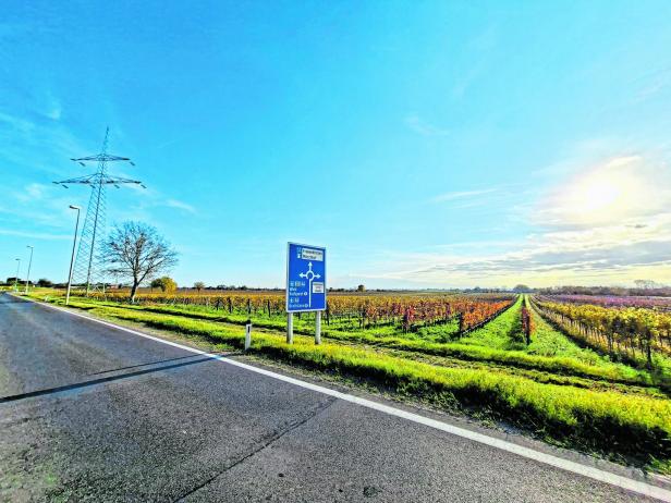 Standort der geplanten Klinik in Gols