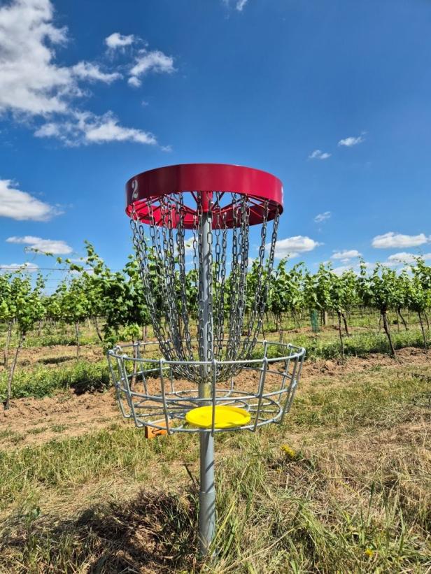 Ein Discgolf-Korb steht in grünen Poysdorfer Weingärten bei blauem Himmel und Sonnenschein.