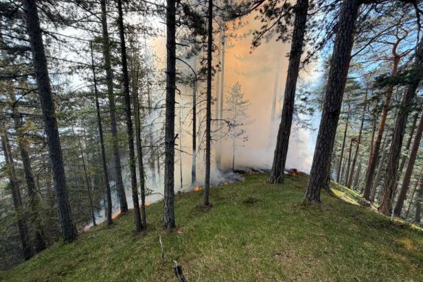 Waldbrand bei Gutenstein.