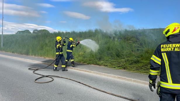 Drei Feuerwehrleute löschen mit einem Wasserschlauch einen Brand im hohen Gras am Straßenrand.