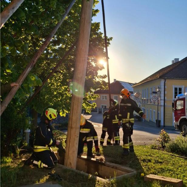 Mehrere Feuerwehrleute arbeiten an einem Holzpfosten im Freien, ein Feuerwehrwagen ist im Hintergrund zu sehen.