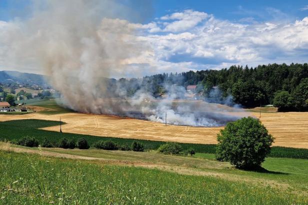 Ein Feldbrand mit starker Rauchentwicklung breitet sich auf einem abgeernteten Feld nahe eines Waldrandes aus.