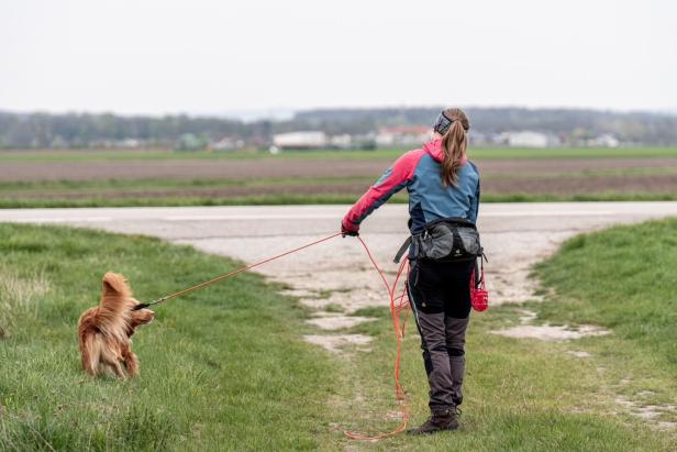 Eine Frau mit Hund an langer Leine steht auf einem Feldweg, während der Hund ins Gras zieht.