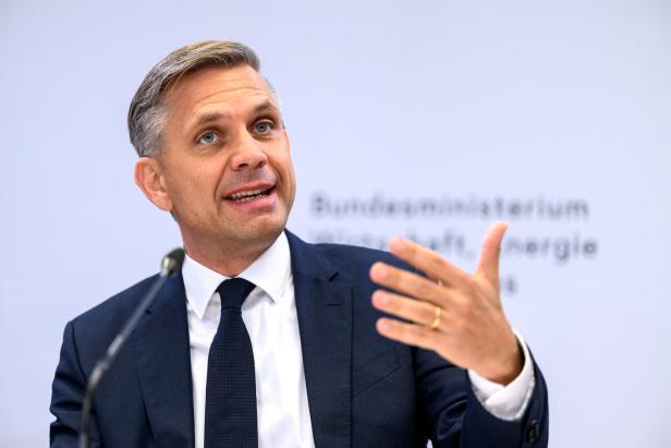 PK WIRTSCHAFTSMINISTERIUM "ERNEUERBAREN-AUSBAU-BESCHLEUNIGUNGSGESETZ (EABG)": HATTMANNSDORFER (ÖVP)