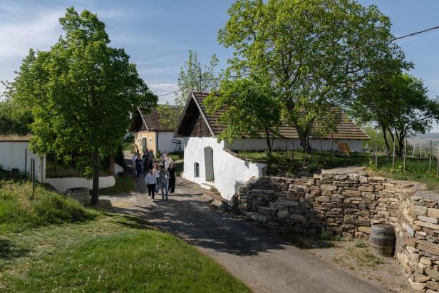 Öhlbergkellergasse Pillersdorf