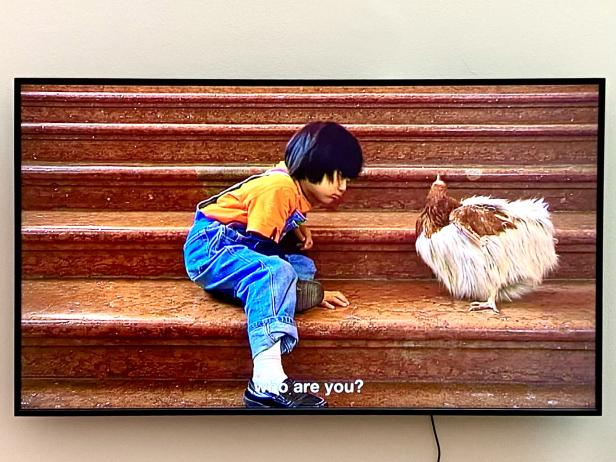 Chicken-Suit