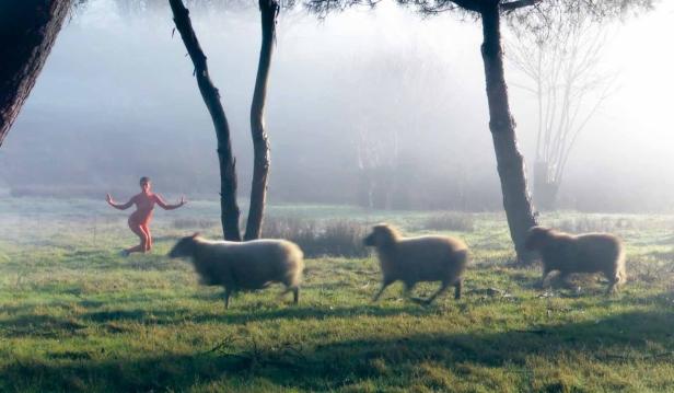 Eine Person in rotem Anzug steht auf einer Wiese mit drei vorbeilaufenden Schafen im Morgennebel.