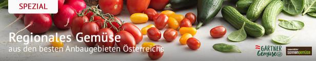 Verschiedene frische Tomaten, Gurken, Zucchini und Spinatblätter liegen nebeneinander auf einer hellen Oberfläche.