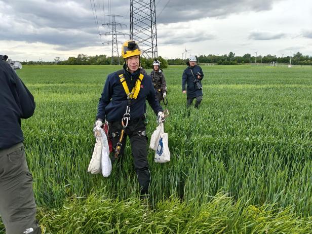 Beringung Sakerfalke Deutsch-Wagram