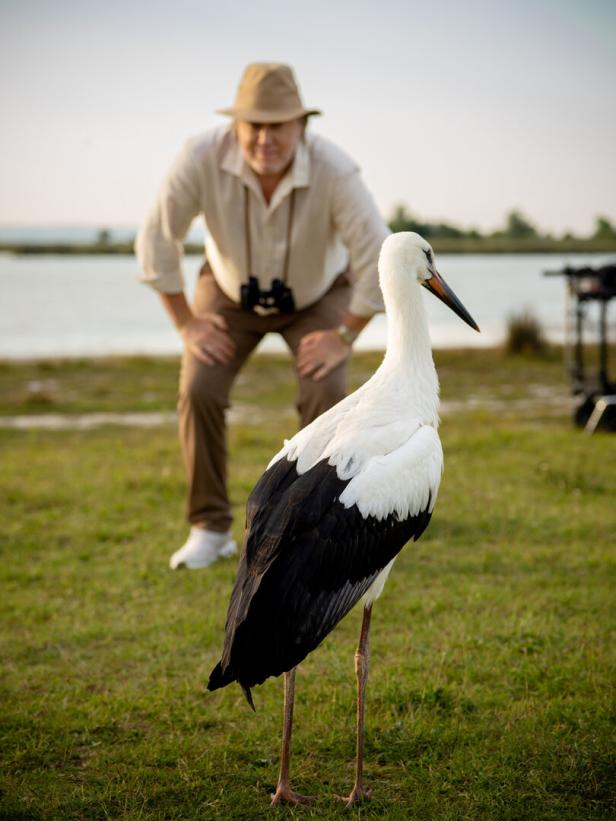 Ein Storch steht auf einer Wiese, im Hintergrund beugt sich ein Mann mit Hut und Fernglas nach vorne.