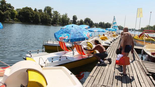 Sommertage auf der Alten Donau