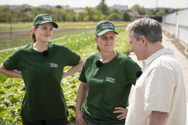 Drei Personen unterhalten sich auf einem Gemüsefeld bei sonnigem Wetter.