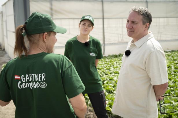 Drei Personen unterhalten sich in einem Gewächshaus vor einem Feld mit grünem Salat.