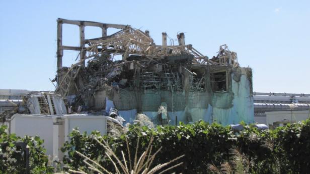 Was die Facebook-Welt 2011 bewegte