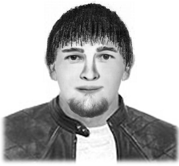 Phantombild der Polizei NÖ von Gesuchtem