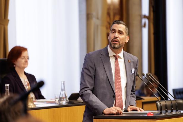 Daniel Stefan Schmid, Bundesrat, SPÖ