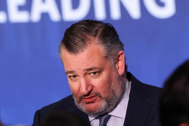 Ted Cruz spricht vor einem blauen Hintergrund.