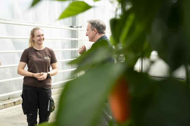 Zwei Personen im Gespräch in einem Gewächshaus, im Vordergrund unscharfe grüne Blätter.