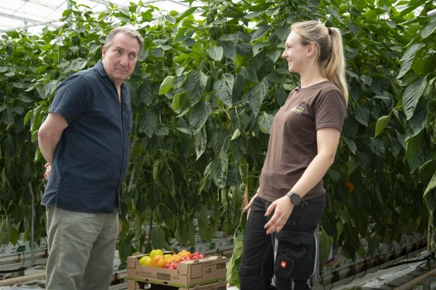 Robert Palfrader und Lisa Thell unterhalten sich im Paprikagewächshaus in Pamhagen neben einer Kiste mit bunten Snack-Paprika.