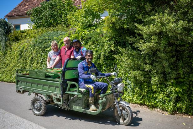 Vier Personen sitzen auf einem kleinen grünen Transportfahrzeug, das am Straßenrand vor dichtem Grün steht.