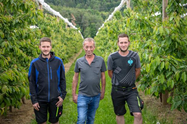 Drei Männer stehen zwischen Reihen von Obstbäumen auf einer grünen Plantage und lächeln in die Kamera.
