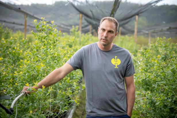 Ein Mann steht inmitten grüner Pflanzen unter einem Netz und trägt ein graues T-Shirt mit gelbem Logo.