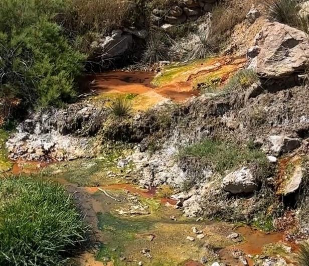 Kleiner Bach mit grünem und orangefarbenem Algenbewuchs, umgeben von Felsen, Gras und trockenem Gebüsch.