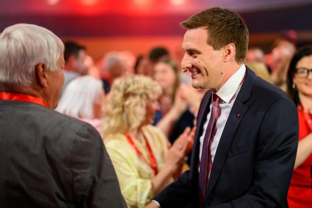 LANDESPARTEITAG SPÖ NIEDERÖSTERREICH: HERGOVICH (SPÖ)
