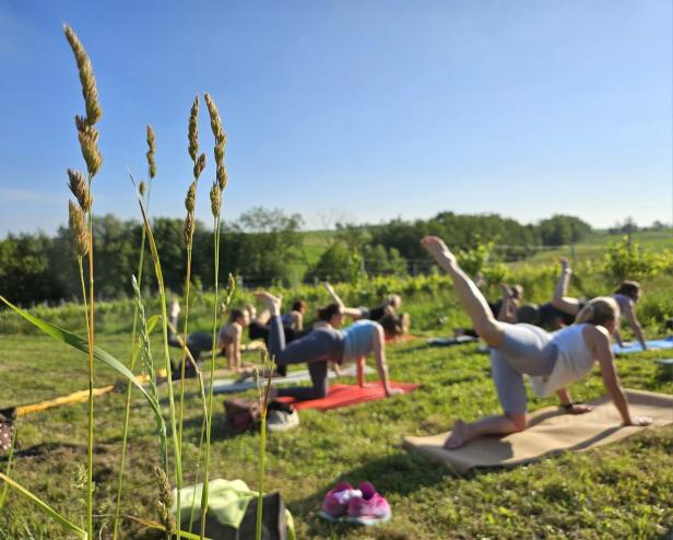 Mehrere Menschen machen Yoga auf Matten im Freien auf einer Wiese bei sonnigem Wetter.