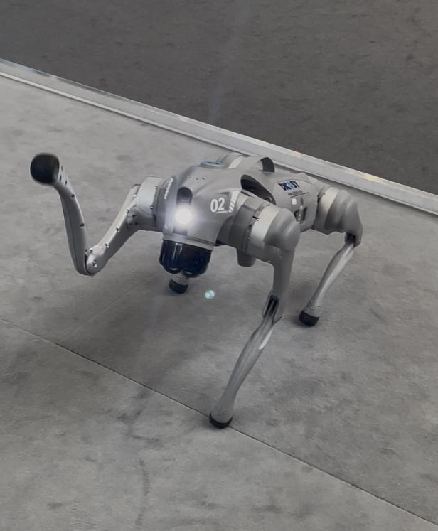Ein grauer, hundeartiger Roboter winkt in die Kamera