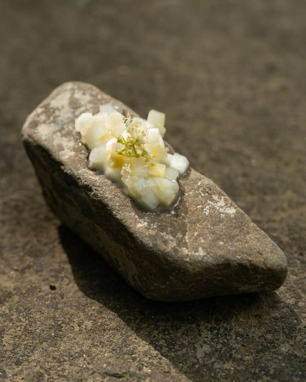 Spargelcreme mit Holunerblüte