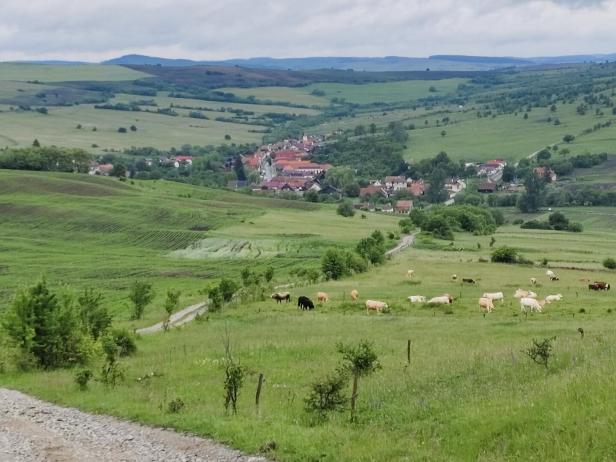 Blick auf Marpod in Siebenbürgen. 