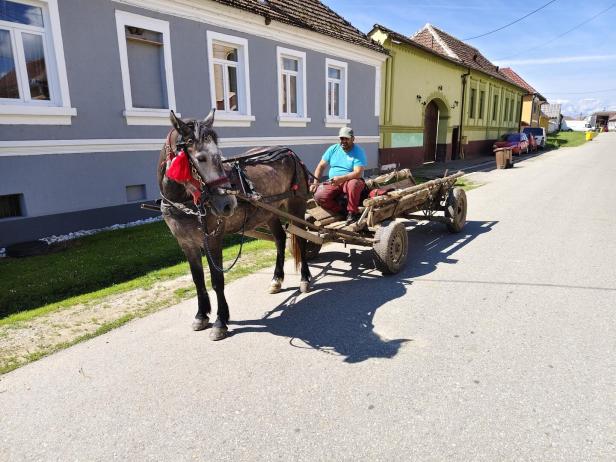 Pferdefuhrwerk mit Fahrer. 