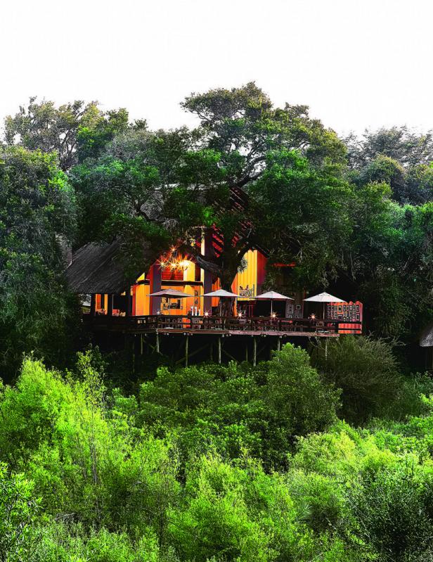 Ein Haus mit großer Terrasse und Sonnenschirmen steht erhöht zwischen dichten grünen Bäumen im Wald.