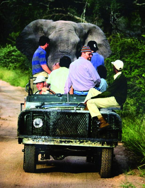 Eine Gruppe Menschen fährt in einem offenen Geländewagen auf einer Safari, direkt hinter ihnen steht ein großer Elefant.