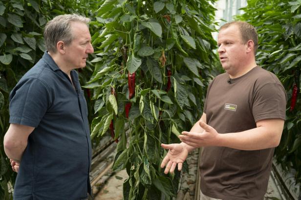 Robert Palfrader spricht mit Gemüsebauer Michael Unger zwischen Spitzpaprika-Pflanzen im burgenländischen Seewinkel.