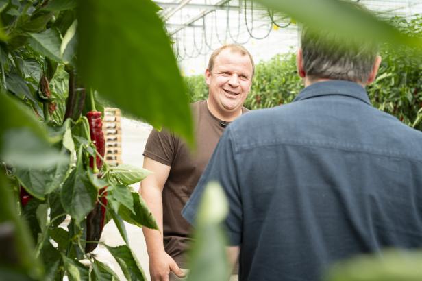 Michael Unger erklärt einem Besucher im Gewächshaus in Pamhagen zwischen Spitzpaprika-Pflanzen den Anbau und die Pflege der Paprika.